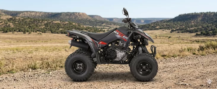 KYMCO Maxxer 450i lateral